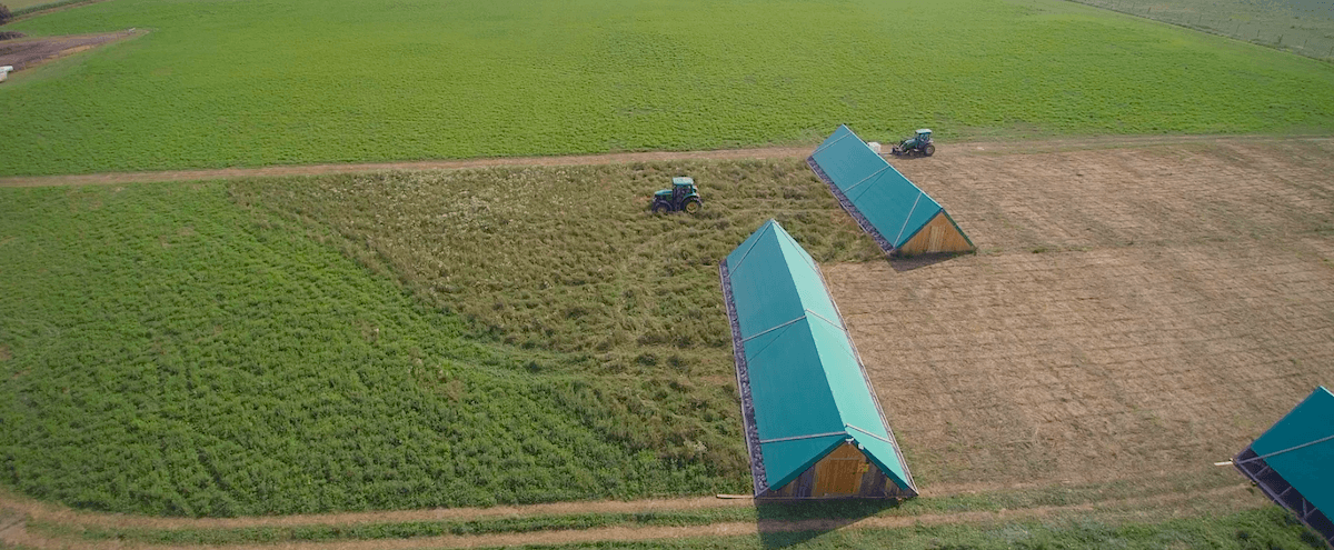 Pastured Chicken Farming in Ontario- Nutrafarms 6 Overhead shot of the day over day diffrence in our pastured chicken farm.