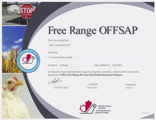 Pastured Chicken Farming - Free Range OFFSAP - Nutrafarms