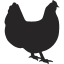 Local organic farms and farmers near me - Nutrafarms - Chicken Icon Local organic farms and farmers near me - Nutrafarms - Chicken Icon