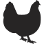 Local organic farms and farmers near me - Nutrafarms - Chicken Icon