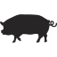 Ontario Raised Cage Free Organic Pork Farm Near Me - Nutrafarms - Cage Free Pork Icon Ontario Raised Cage Free Organic Pork Farm Near Me - Nutrafarms - Cage Free Pork Icon
