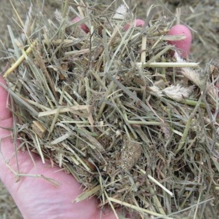 Ontario Raised Grass Fed Beef Farm Near Me - Nutrafarms - Grass Fed Beef 4 Ontario Raised Grass Fed Beef Farm Near Me - Nutrafarms - Grass Fed Beef 4
