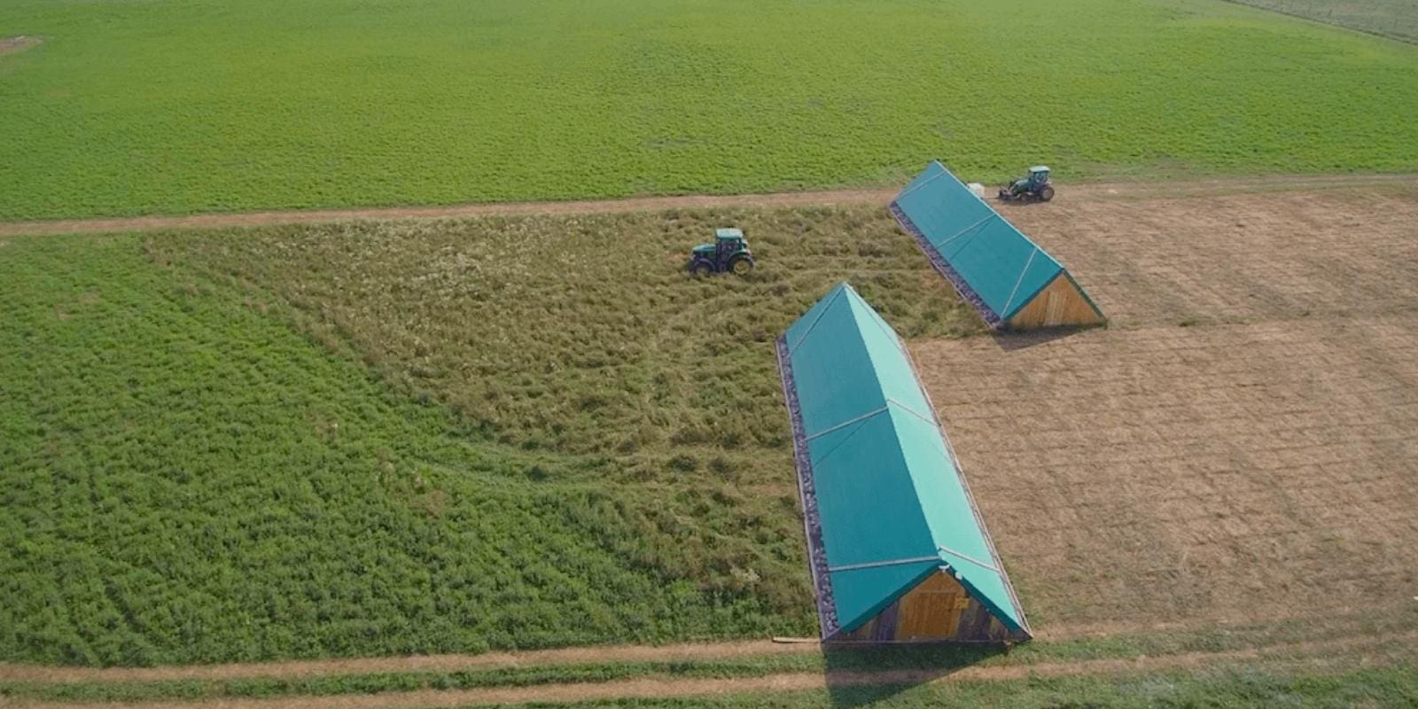 Ontario Raised Pastured Chicken Farm Near Me - Nutrafarms - Pastured Chicken 4 Ontario Raised Pastured Chicken Farm Near Me - Nutrafarms - Pastured Chicken 4