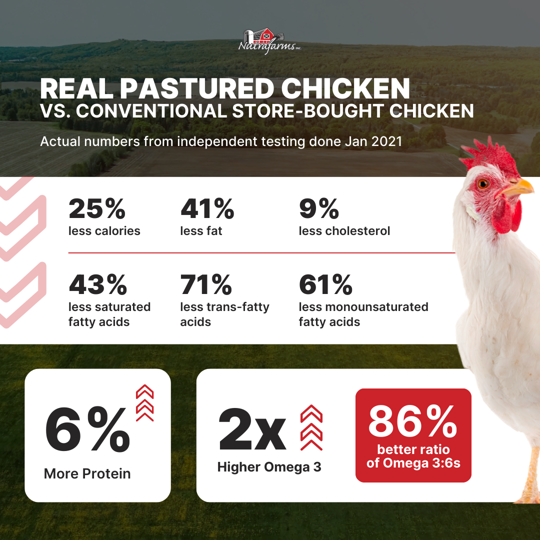 comparison-pasture-conventional-chicken