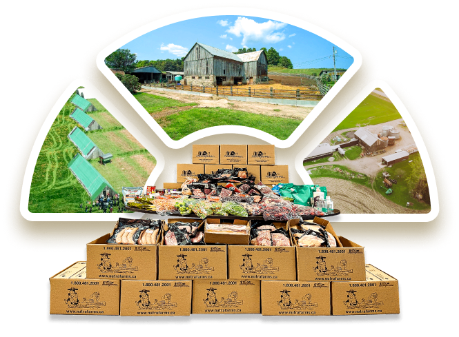 better-meals-stronger-farms-illustration better-meals-stronger-farms-illustration