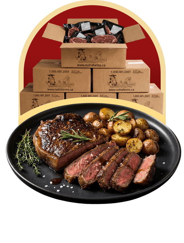 ontario ny striploin steak welcome box 20 lbs premium beef nutrafarms freezer ready meals ontario-ny-striploin-steak-welcome-box-20-lbs-premium-beef-nutrafarms-freezer-ready-meals