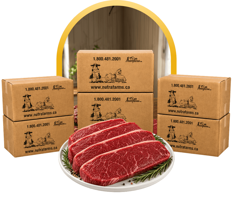 sirloin-steaks-on-a-plate-in-front-of-five-nutrafarms-boxes